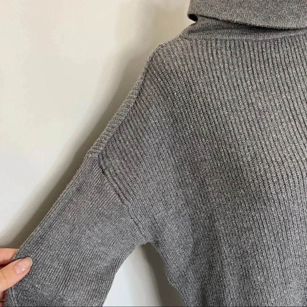 NWT Devotion by Cyrus Turtleneck Sweater
